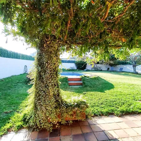 Casa Da Glicia, Casa Con Piscina Privada, Disfrutar Y Relajarse * Goyan